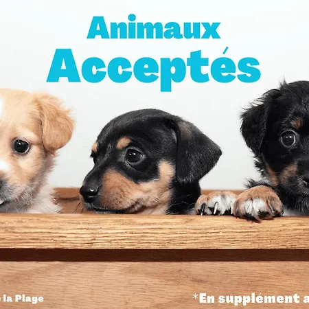 Hébergement de vacances Maison Neuve 2024, Confortable Et Décorée Avec Goût, Proche Et Forêt, Wifi Gratuit - Fr-1-323-531